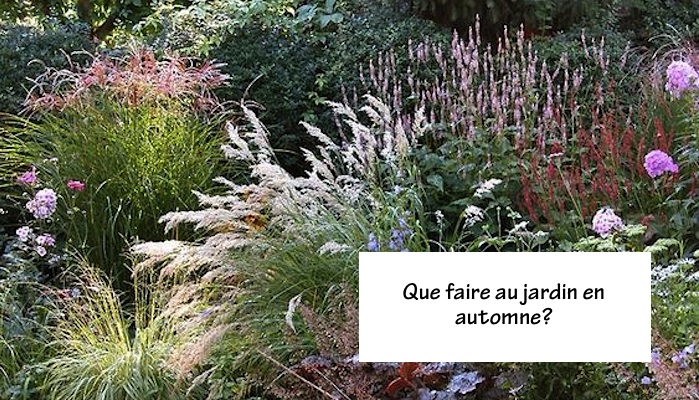 que faire au jardin en automne