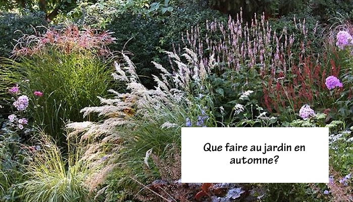 que faire au jardin en automne