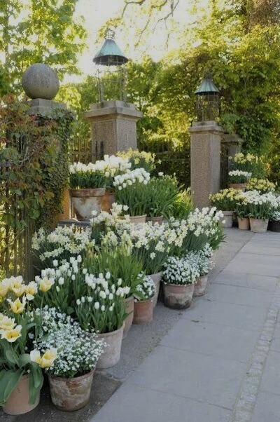 jardin en pots