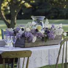 bouquets de lilas