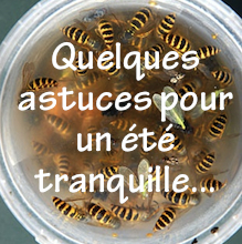 astuces pour un été tranquille