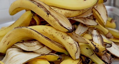 peaux de bananes