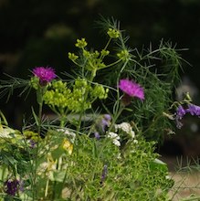 conseils et idées bouquets et jardins