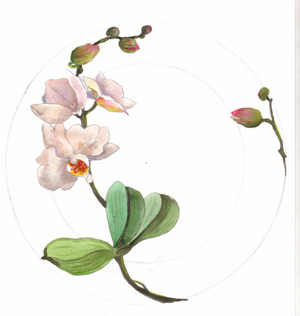 aquarelle d'orchidée