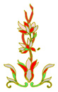 fleur couleur