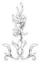 dessin de fleur et ruban