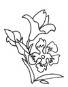 dessin de fleur