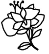 dessin fleur pour tampon