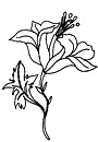 dessin de fleur gratuit à imprimer