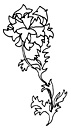 dessin de fleur type william morris