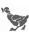 stencil of duck