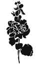 hollyhock stencil