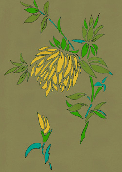 Pochoir de chrysanthème en couleur