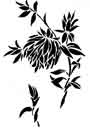 Chrysanthemum stencil