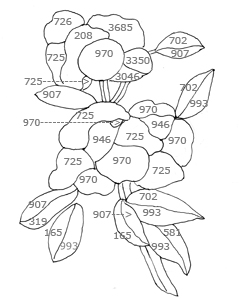 diagramme de broderie