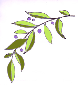 dessin couleur feuilles