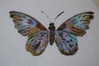 papillon peint terminé