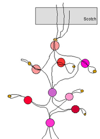 schema de perles