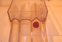 roller bead