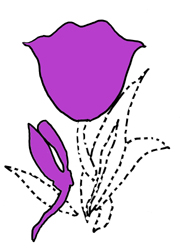 dessin de tulipe