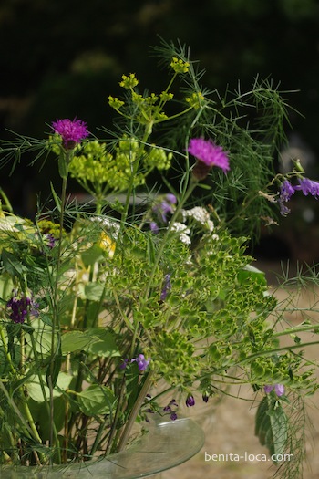 fleurs des champs