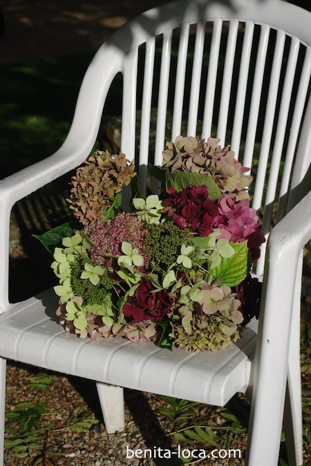 hortensias