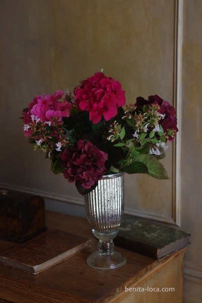 hortensias rouges