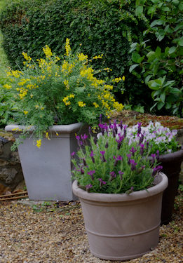 pots en résine pour le jardin