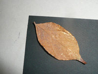 papier à décorer