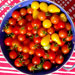 LES FRUITS DU VERGER