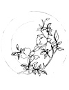 dessin de roses chinoises pour décor d'assiette